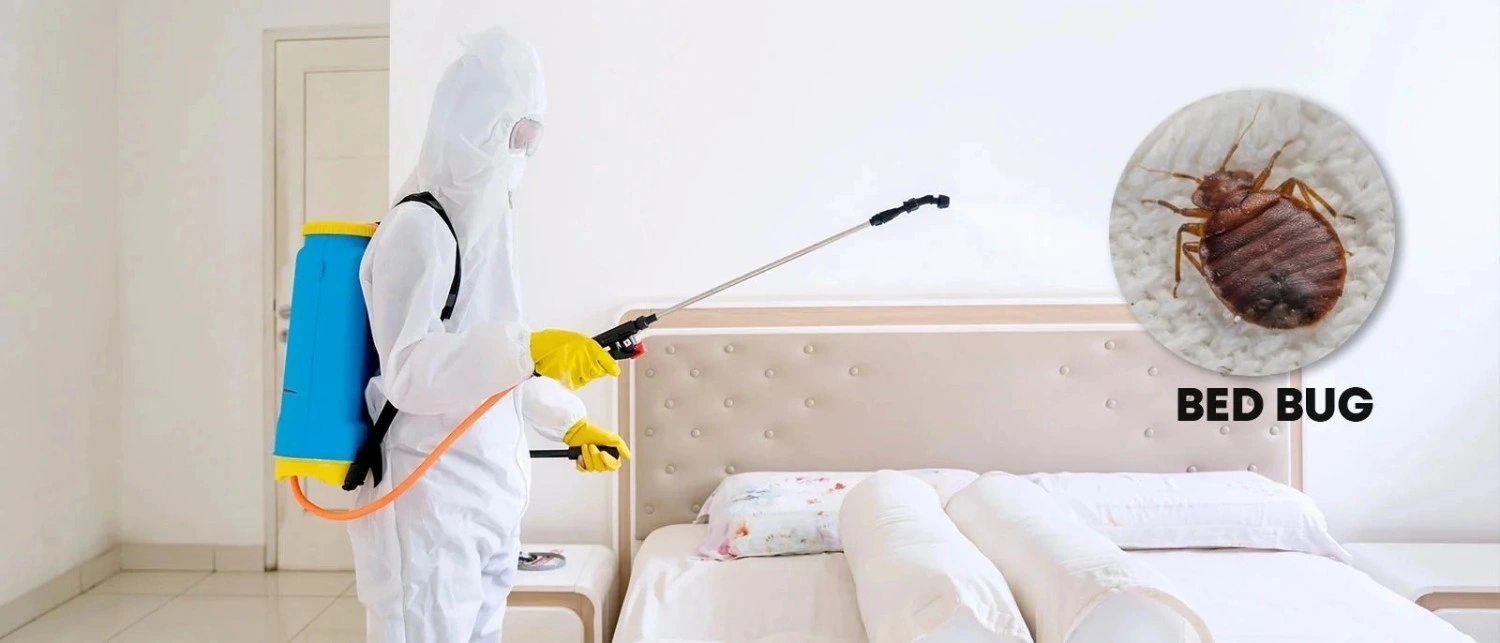 Cockroach Prevention Tips