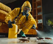 Pest Control